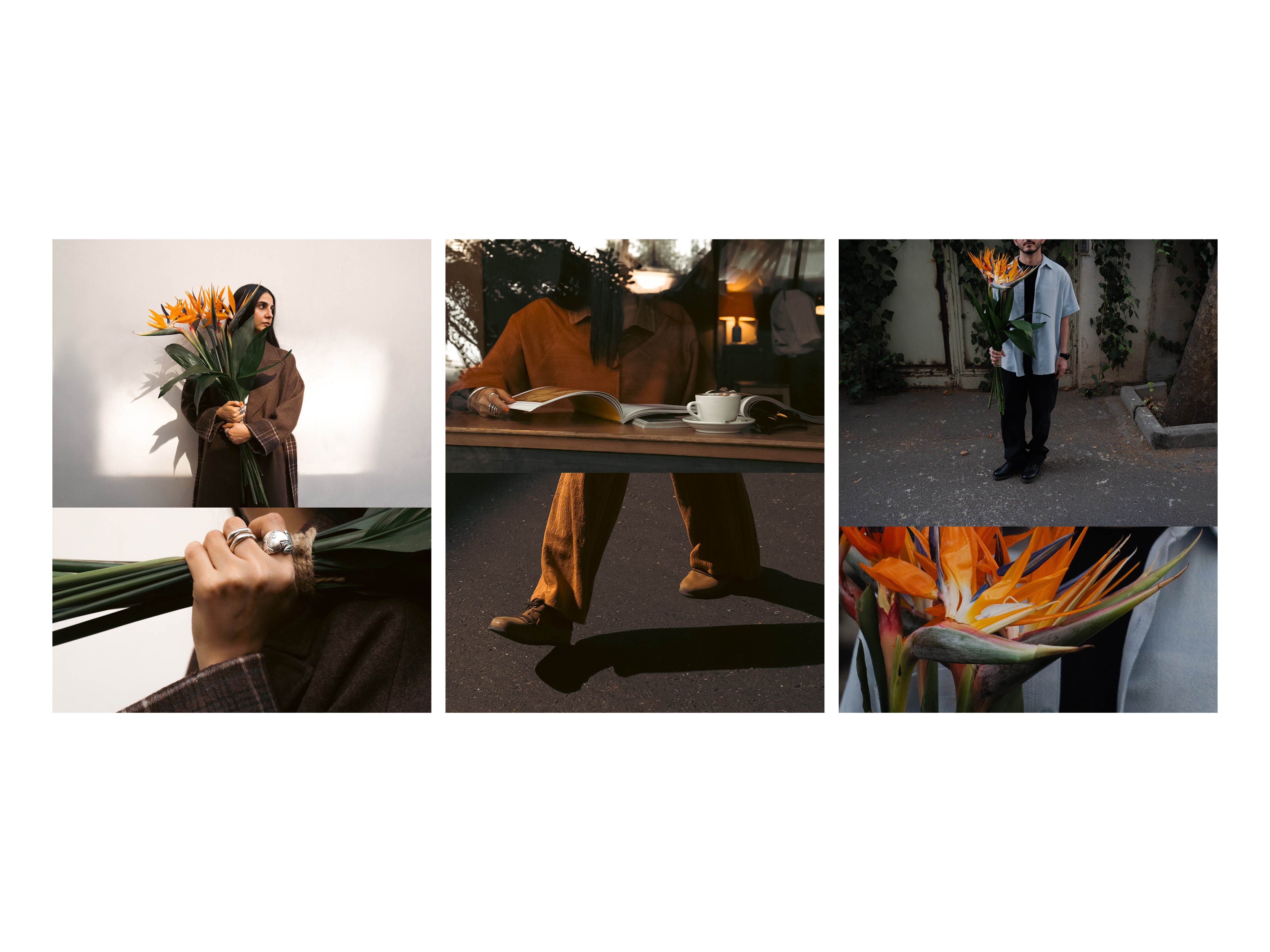 Grid of five warm-toned editorial frames: a woman holding bird-of-paradise flowers, hands gathering stems, a figure reading at a table, and a person walking in an ochre-lit courtyard